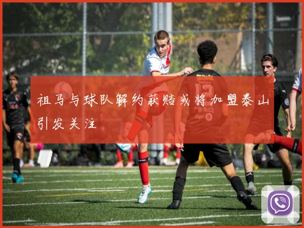 祖马与球队解约获赔或将加盟泰山引发关注