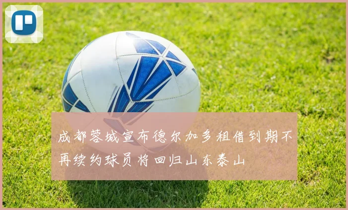 成都蓉城宣布德尔加多租借到期不再续约球员将回归山东泰山